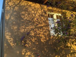 pxl_20231228_180718106.mp